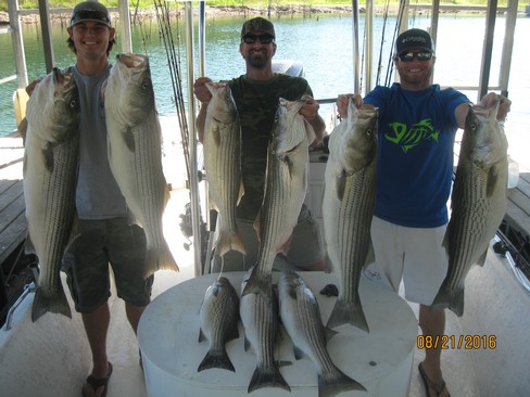 Nice Striped Bass